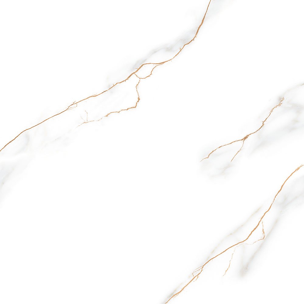 zoom-pr70312-23030618df